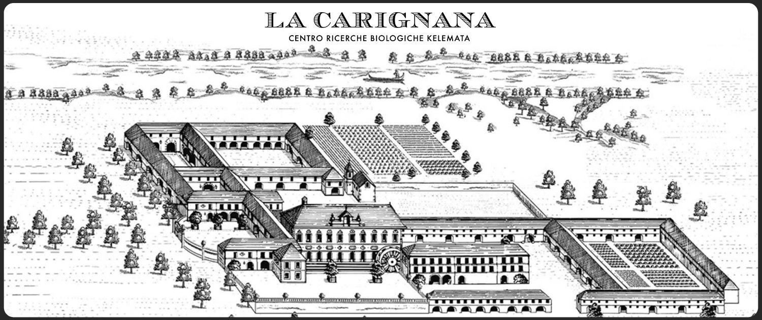 Centro di Ricerca La Carignana Kelemata
